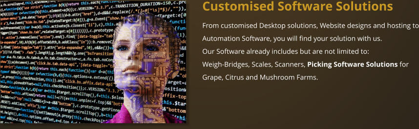 Customised Software Solutions From customised Desktop solutions, Website designs and hosting to Automation Software, you will find your solution with us. Our Software already includes but are not limited to: Weigh-Bridges, Scales, Scanners, Picking Software Solutions for Grape, Citrus and Mushroom Farms.